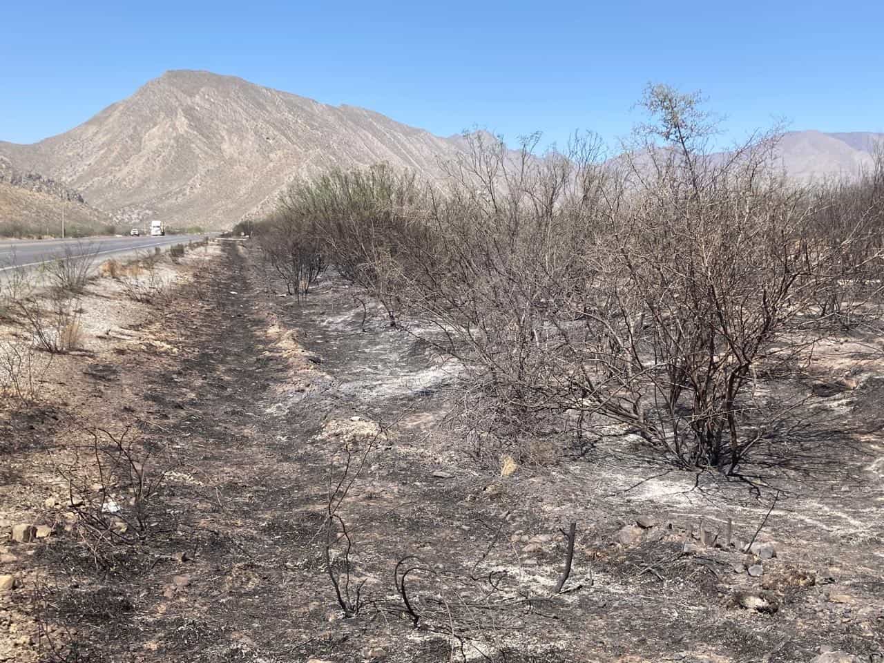 Consume incendio 10 hectáreas de pastizal