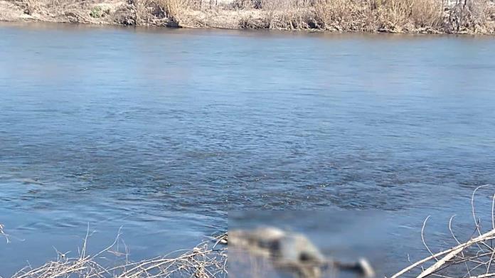 Localizan Cuerpo AHOGADO en el Río Bravo Localizan Cuerpo AHOGADO en el Río Bravo