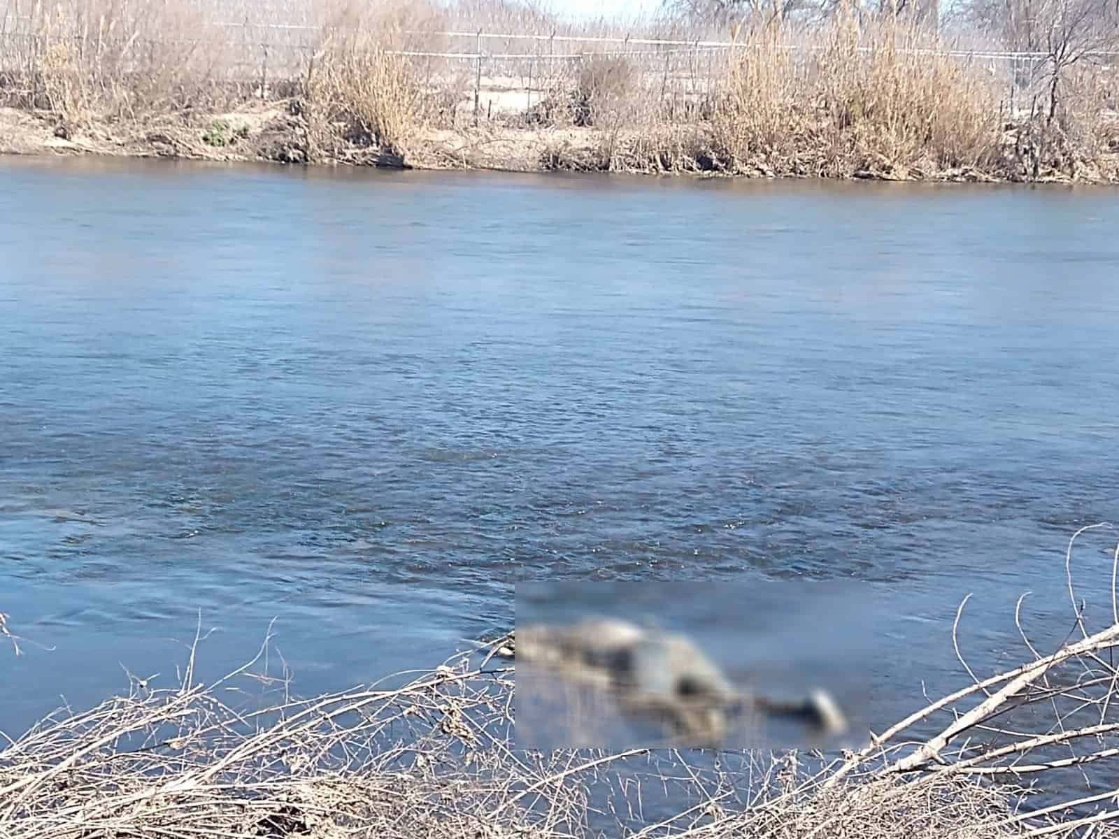 Localizan Cuerpo AHOGADO en el Río Bravo