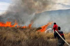 Registra Coahuila 12 incendios forestales