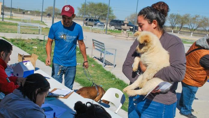 Exitosa Jornada de Bienestar Animal en Colonia Del Valle