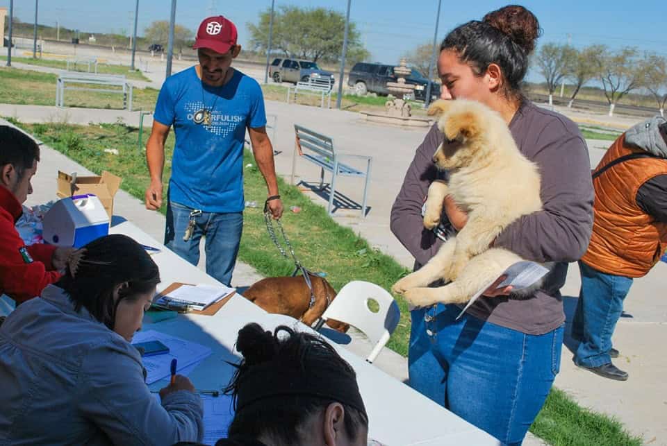 Exitosa Jornada de Bienestar Animal en Colonia Del Valle