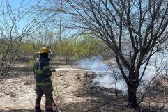 Atienden incendio de pastizal en carretera 57 