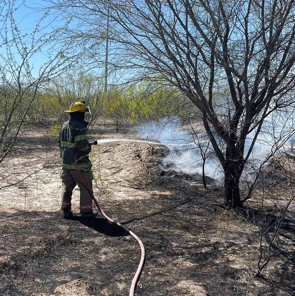 Atienden incendio de pastizal en carretera 57 