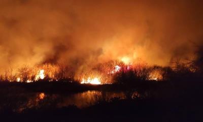 Incendio en las orillas del Río Bravo genera emergencia en Ciudad Acuña