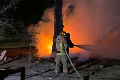 Atienden incendio de árbol seco en Allende