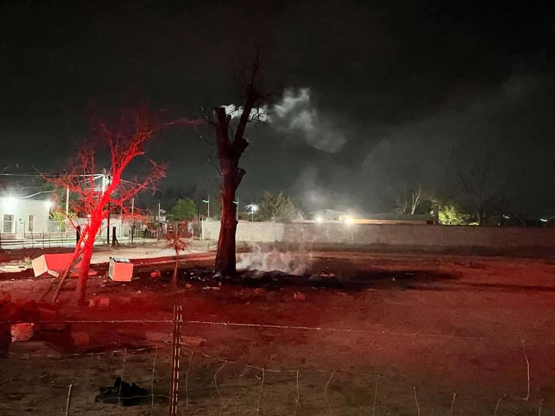 Atienden incendio de árbol seco en Allende