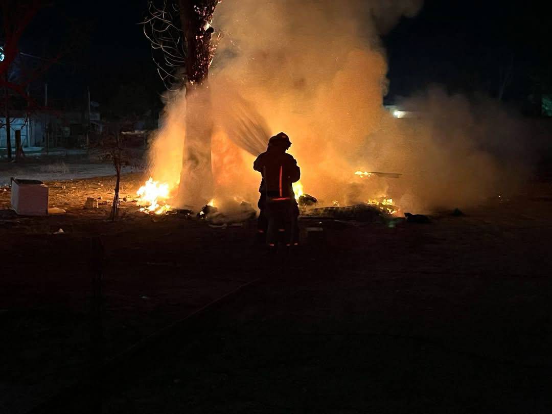 Atienden incendio de árbol seco en Allende