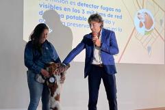 Utilizarán perro para detectar fugas de agua