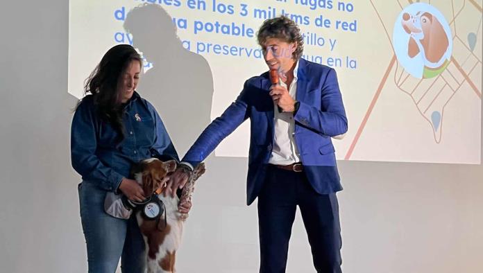 Utilizarán perro para detectar fugas de agua