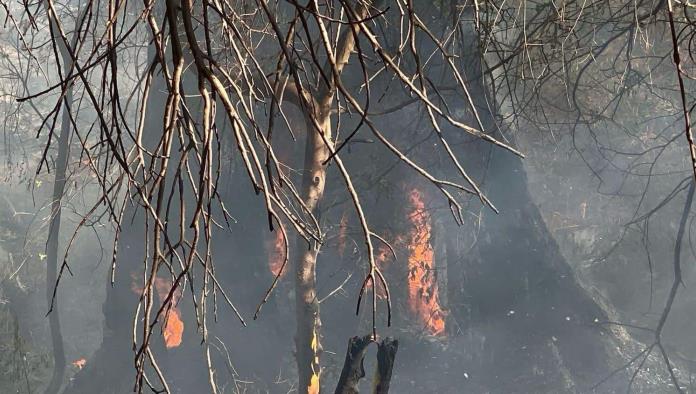 Evacúan a sabinenses tras incendio en márgenes del río