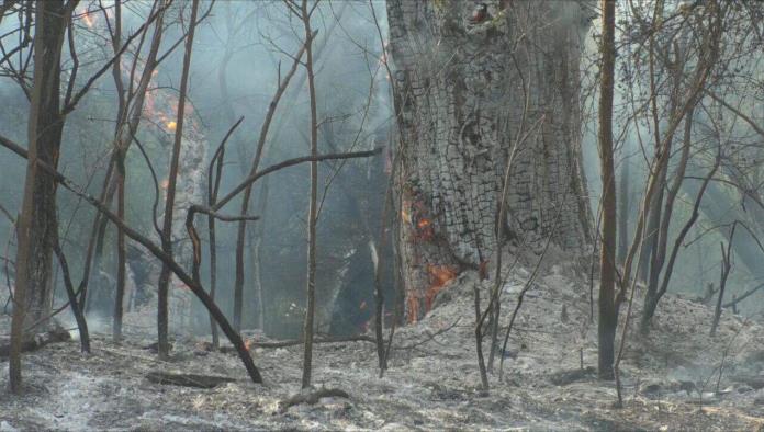 Incendio en el río Sabinas deja daños en tres hectáreas