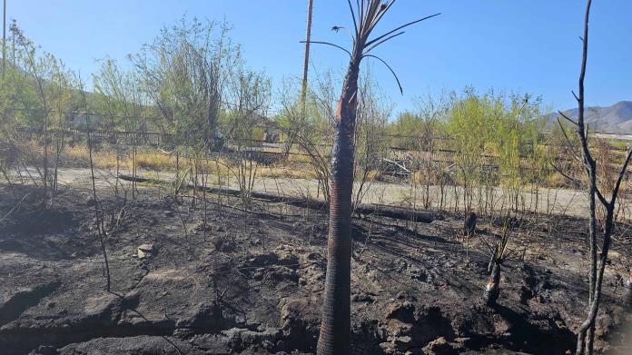 Momentos de terror en calle Fertilizantes por incendio en Altos Hornos de México Momentos de terror en calle Fertilizantes por incendio en Altos Hornos de México