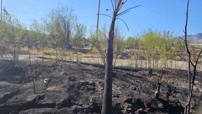 Momentos de terror en calle Fertilizantes por incendio en Altos Hornos de México