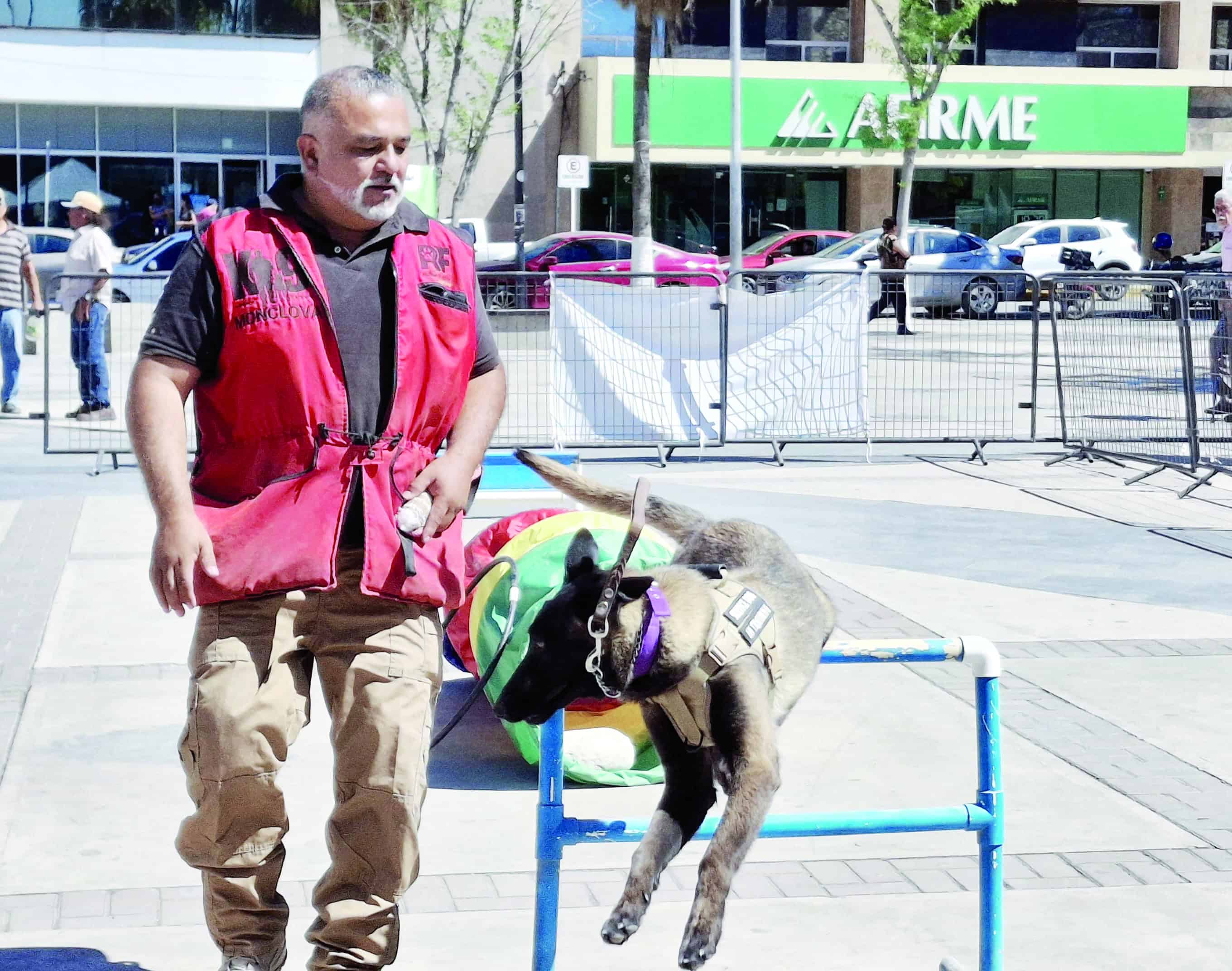Realizan feria de la adopción