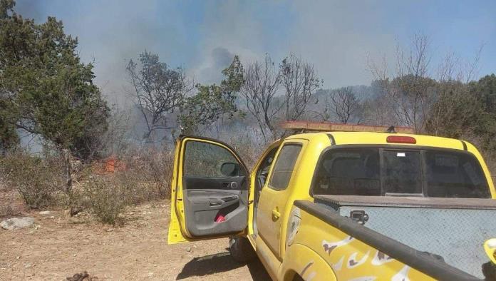 Combaten incendio forestal en serranía