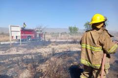 Van 600 incendios en apenas 3 meses