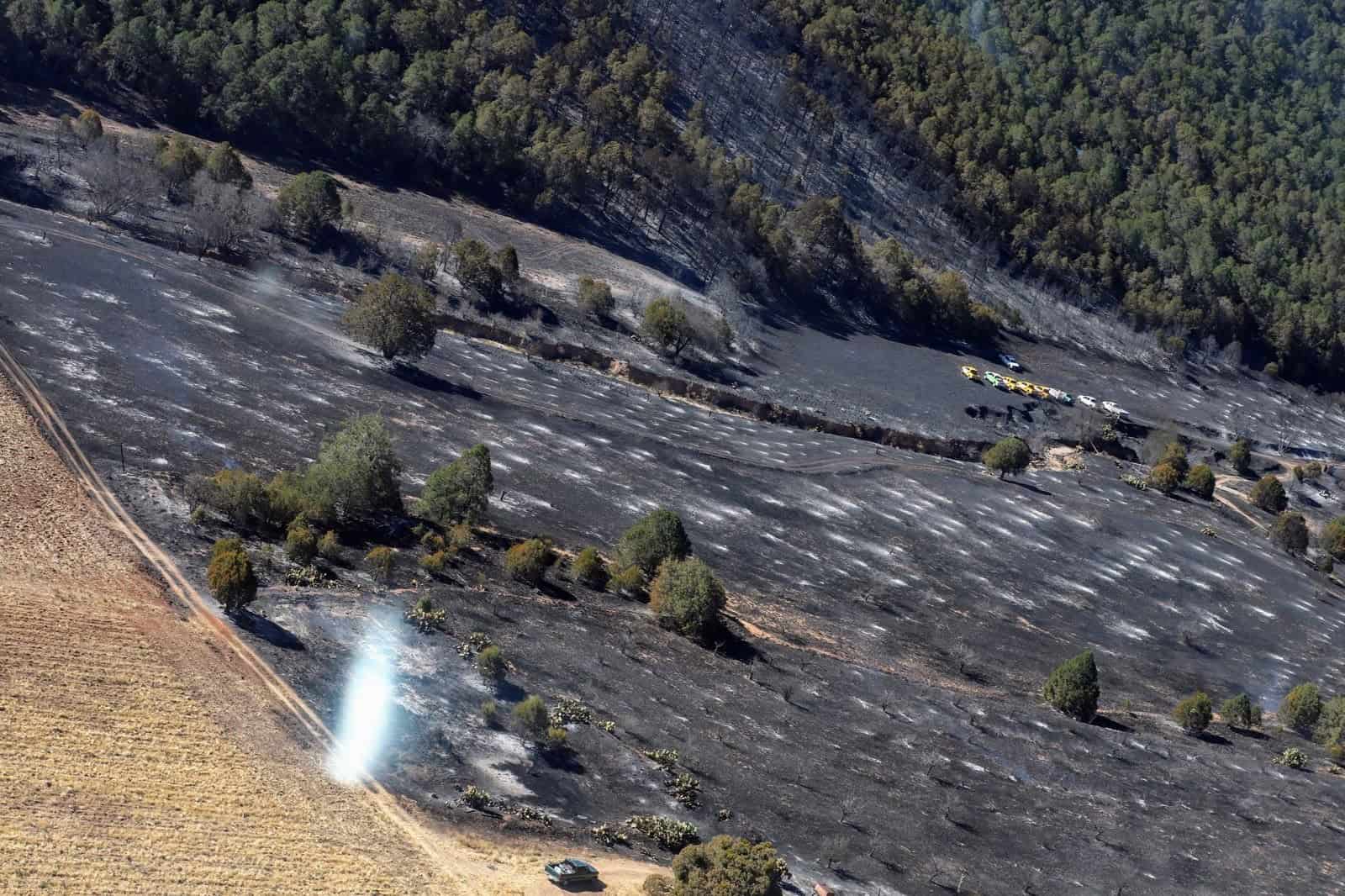 Consume fuego 20 hectáreas