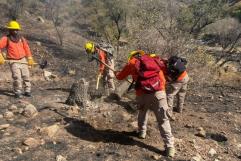 Frontera refuerza vigilancia y prepara brigadas para combatir incendios forestales.