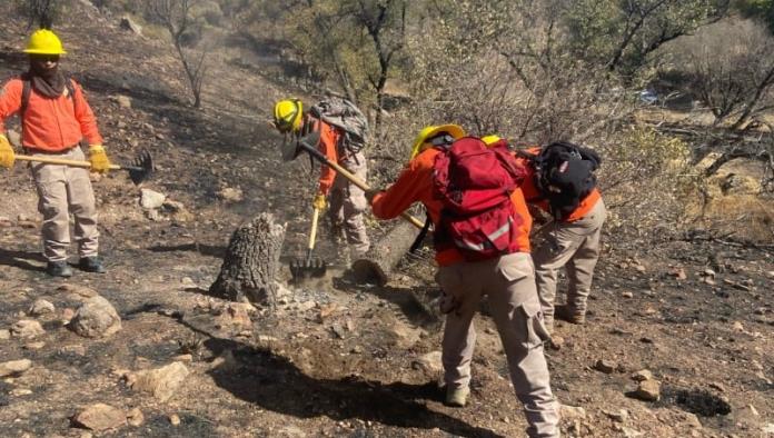 Frontera refuerza vigilancia y prepara brigadas para combatir incendios forestales.