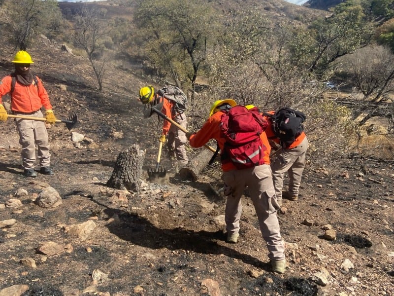 Frontera refuerza vigilancia y prepara brigadas para combatir incendios forestales.