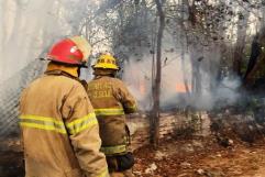 Rápida respuesta de Bomberos Sabinas evita desastre en incendio forestal