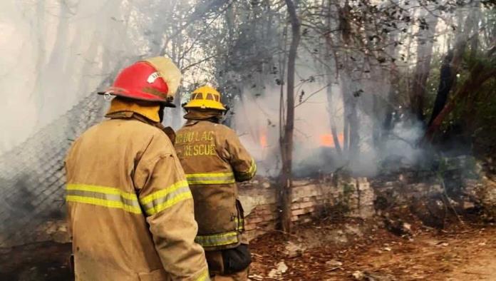 Rápida respuesta de Bomberos Sabinas evita desastre en incendio forestal