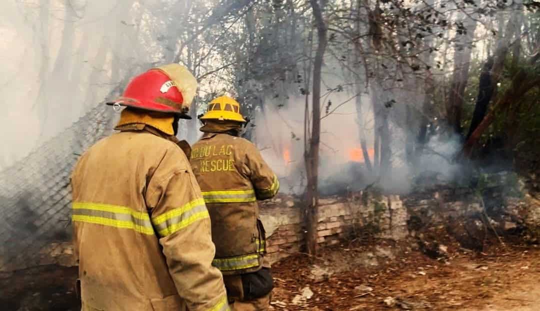 Rápida respuesta de Bomberos Sabinas evita desastre en incendio forestal
