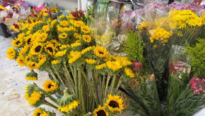 Monclova se llena de amarillo: llegan las flores para el 21 de marzo