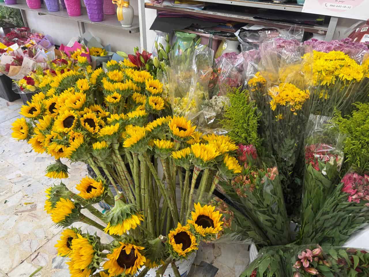 Monclova se llena de amarillo: llegan las flores para el 21 de marzo