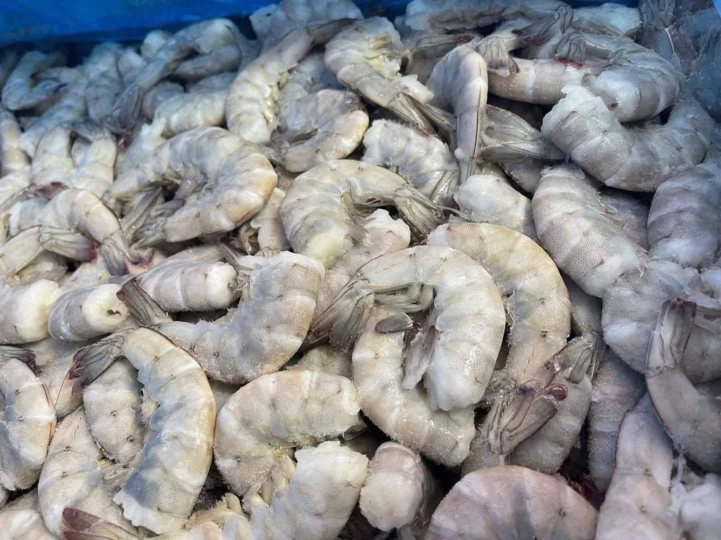 Venta de mariscos no ha incrementado significativamente tras el inicio de la cuaresma