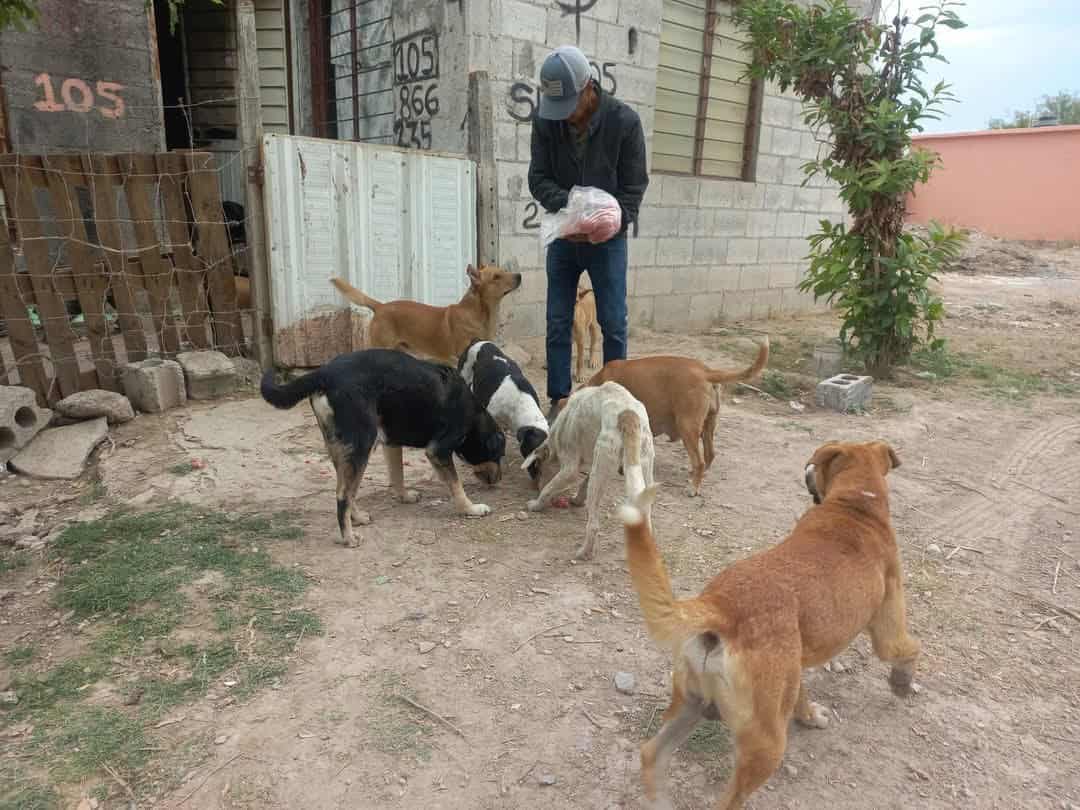 Ramiro Flores: Un Hogar de Esperanza para Perros Callejeros en Diana Laura