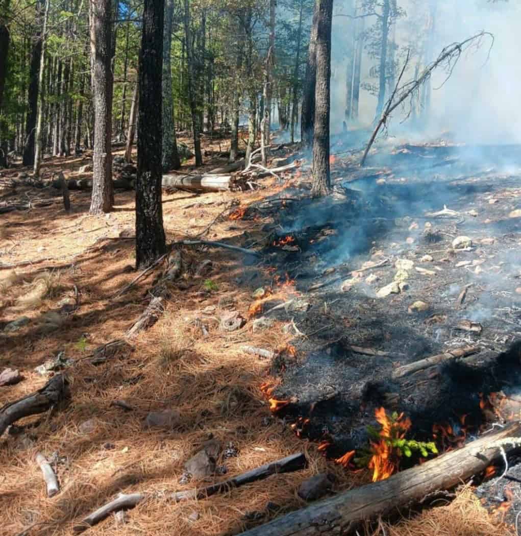 El siniestro se registra en la serranía de Maderas del Carmen.
