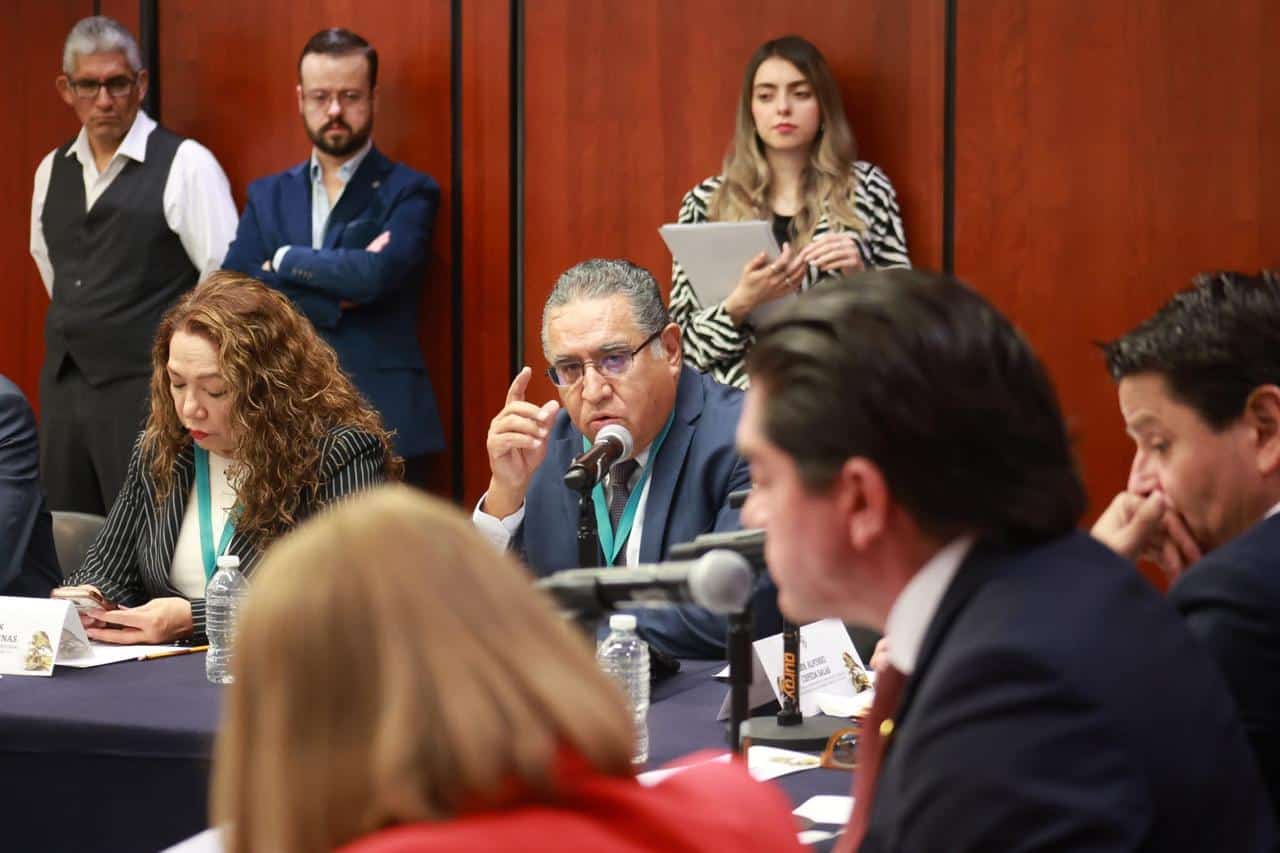 Ni Steckel ni el Horno Eléctrico son de Ahmsa