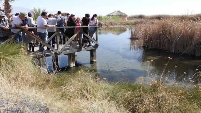 Realizan caminata en Cuatro Ciénegas