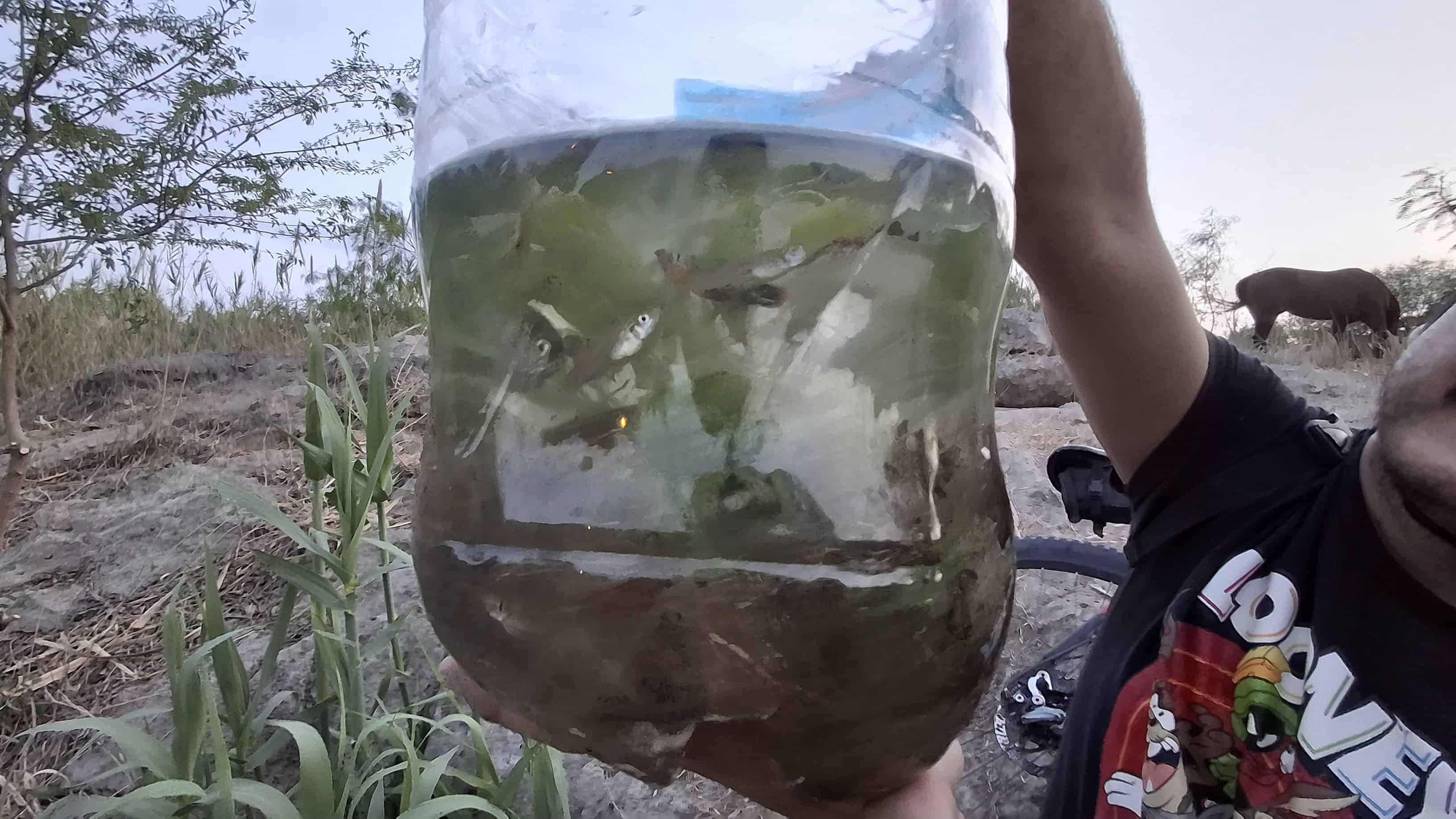 Denuncian caza de tortugas y extracción de peces en el río Monclova.