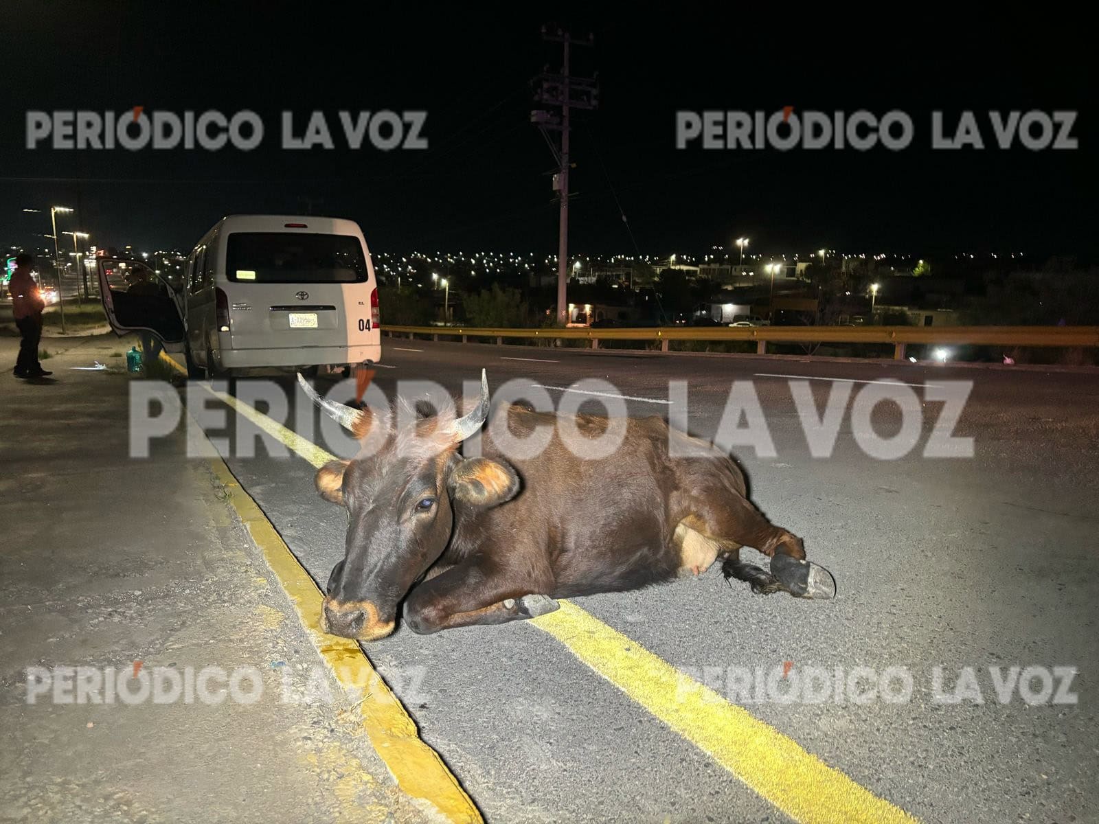El toro quedó malherido en medio de la avenida, generando riesgo para otros automovilistas.