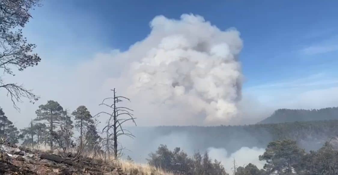 El fuego ha consumido 150 hectáreas de bosque.