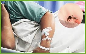 Unos promedio de 44 defunciones por dengue se registraron el año pasado en Coahuila.