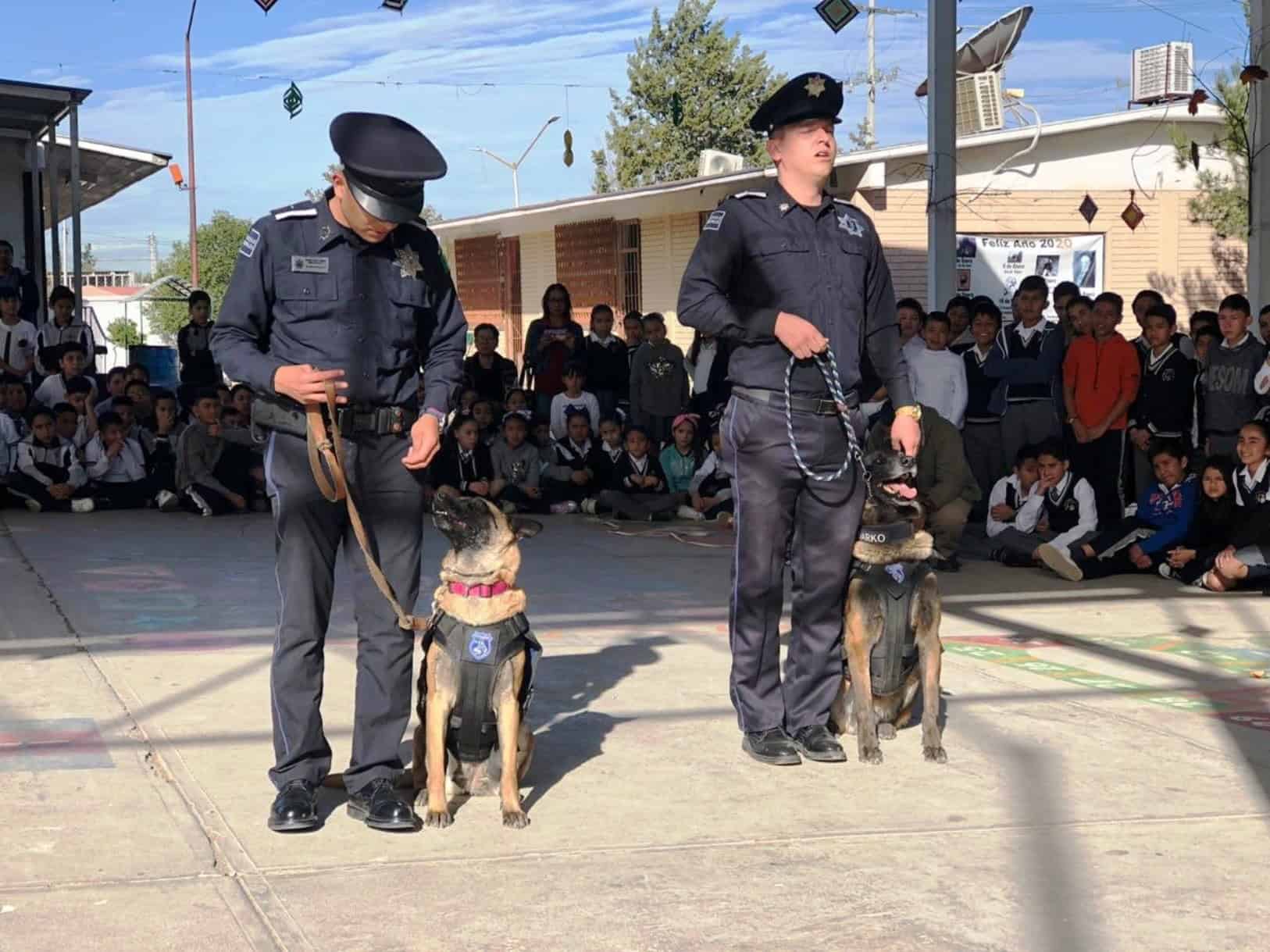Combaten ingreso de estupefacientes a las escuelas
