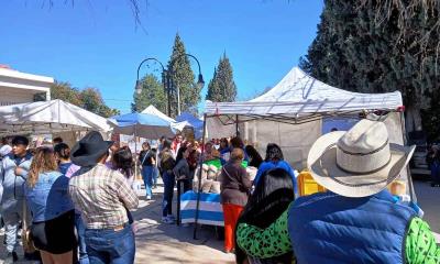 Espera Arteaga 80 mil turistas en Semana Santa