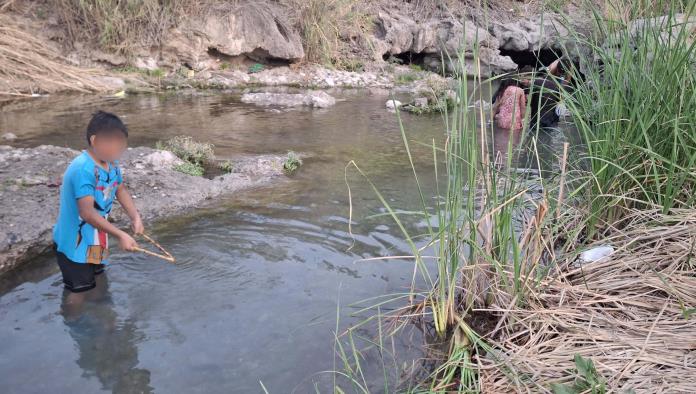 Multa de 33 mil a quien cace tortugas en el río