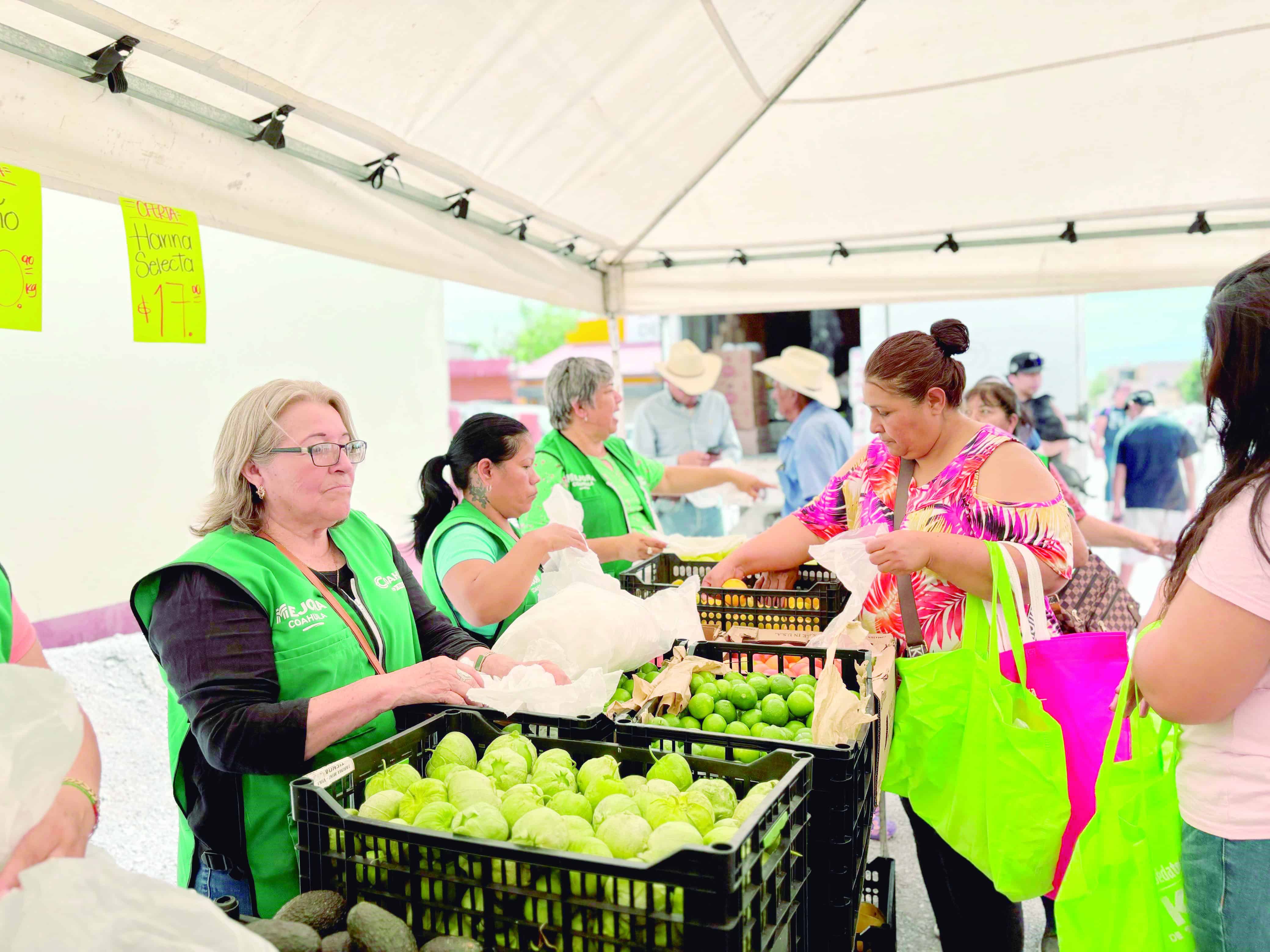 Ofrecerán asesorías gratuitas