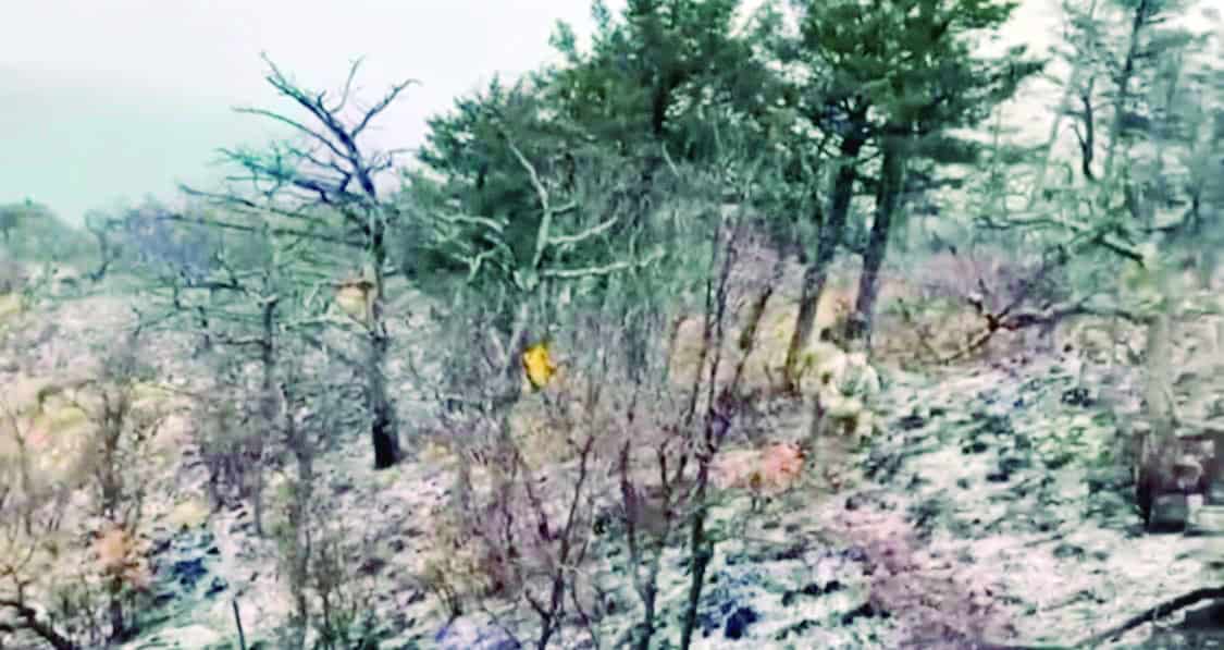 Cae nevada atípica en “mesa bonita”