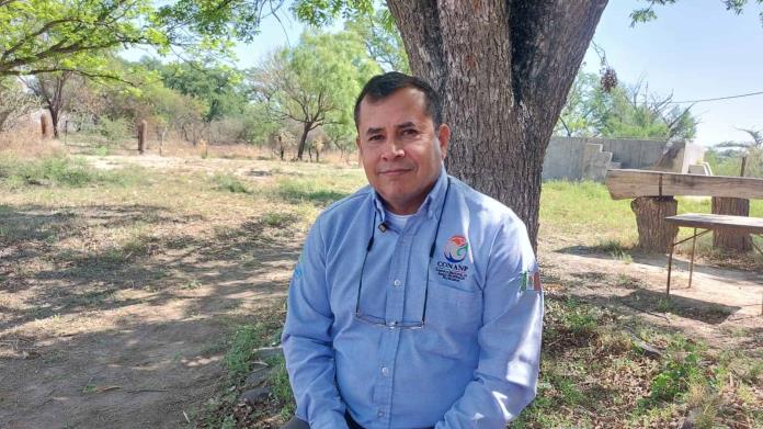 Liberan Tecolote Pigmeo en Sabinas Liberan Tecolote Pigmeo en Sabinas