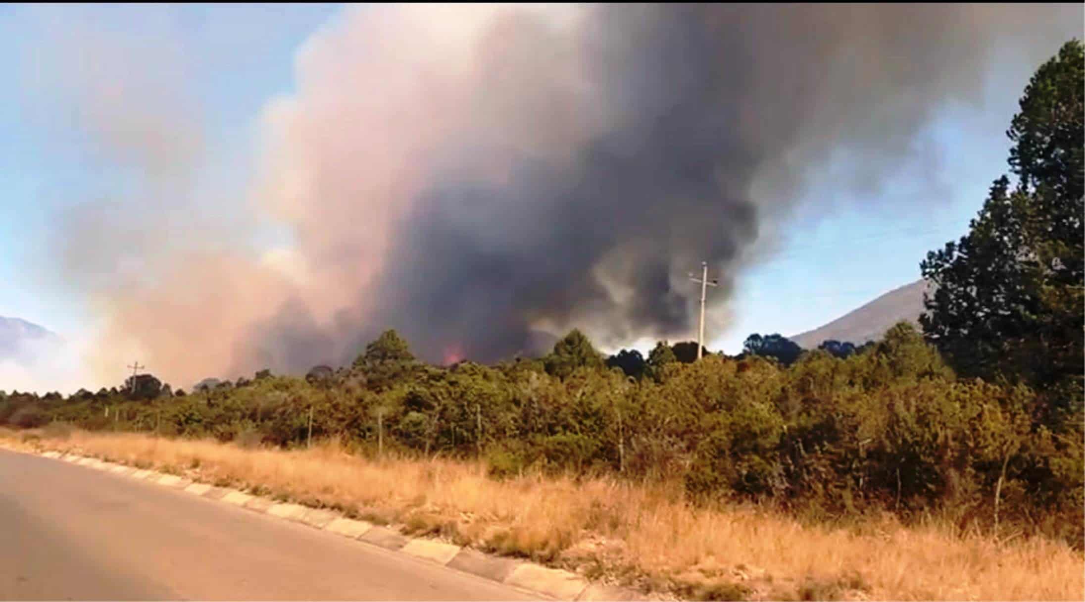 Autoridades atendieron de inmediato el incendio en la zona conocida como el Diamante, de Arteaga.