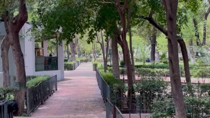 Retiran cableado en el Centro Histórico Retiran cableado en el Centro Histórico