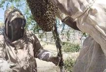 Capacitan A Protección Civil De Sabinas En Manejo De Enjambres De Abejas