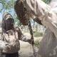 Capacitan A Protección Civil De Sabinas En Manejo De Enjambres De Abejas