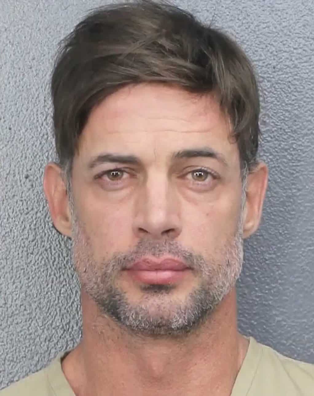 Estos son los detalles del arresto de William Levy